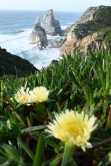 view of Praia da Ursa beach with rock formations and ocean in the background