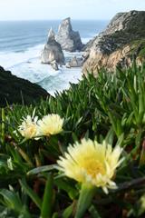 Praia da Ursa beach with cliffs in Sintra-Cascais Natural Park