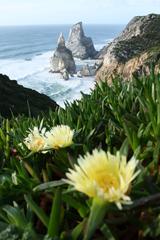 Praia da Ursa in Parque Natural de Sintra-Cascais