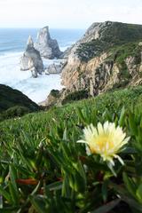 Praia da Ursa beach with rocky cliffs in Parque Natural de Sintra-Cascais