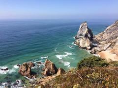 a scenic photograph of the Site of Community Importance in Cascais, Portugal featuring rugged coastline, greenery and a beautiful ocean view