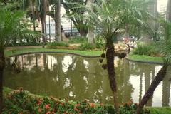 Lake at Carlos Gomes Square