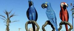 Sculpture of macaws in Praça das Araras, Campo Grande