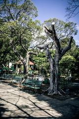 Passeio Público monument in Brazil on Tree Day