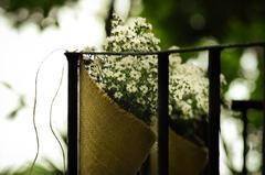 Photo of a monument in Brazil with white flowers in the foreground