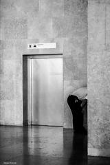 Security guard hiding his face like an ostrich at Rossio Train Station in Lisboa, Portugal