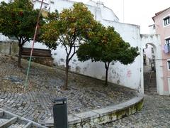 scenic view of Alfama district in Lisbon