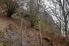 Šemnická skála natural monument in Karlovy Vary district