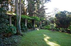 Giardino villa San Michele with lush greenery and a serene atmosphere