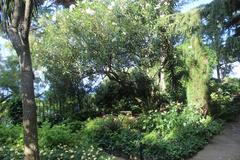 Villa San Michele garden in Anacapri