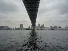 Rainbow Bridge over Tokyo Bay at night