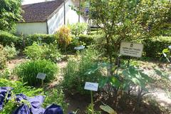 Exhibit of medicinal plants at Vietnam Museum of Ethnology in Hanoi