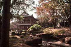 Zhishan Garden at National Palace Museum with blossoming white plum trees and red maple leaves