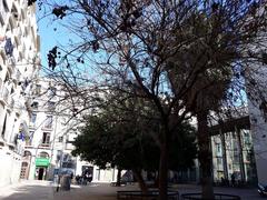 Plaça de Jaume Sobrequés in Barcelona