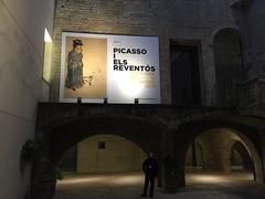 Exhibits in Picasso and Raventós exhibition