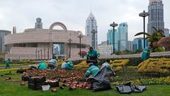 Gardening in People's Square, Shanghai