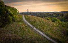 woman walking two dogs during sunset near trees in Stockholm