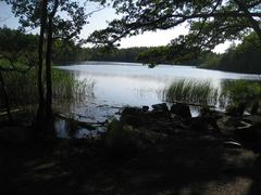 Lake Judarn viewed from the west in Judarskogen Nature Reserve, Bromma, Stockholm