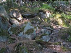 Judarskogen nature reserve, De Geer moraine south of Lake Judarn, Bromma, Stockholm