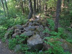 Ryssmuren in Judarskogen Nature Reserve near Nockebyhov