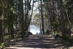 Path through Judarskogen to Lake Judarn