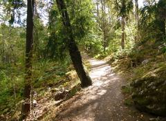 Promenadstig i Judarskogens naturreservat