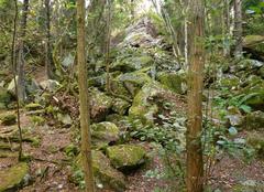 boulder in Judarskogen Nature Reserve