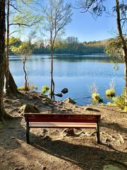 Judarn Lake and shore with nature at Judarskogens Naturreservat