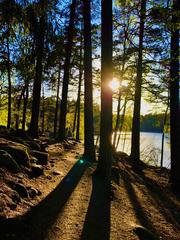 Judarskogens naturreservat with a scenic view of a forest and a central lake