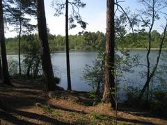 Sjön Judarn i Judarskogens naturreservat, Bromma, Stockholm, sedd från söder