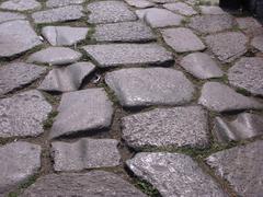 Ruts from Roman chariots on ancient road near Porta Palatina