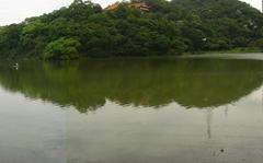 Jinlong Lake, Beifeng Temple, and Egrets in Xizhi District, Taipei County