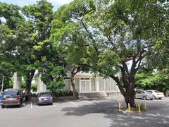 Kaohsiung City Martyrs' Shrine under tree shade