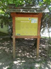 Birdsong Nature Trail station 20 info boards at Parkerdő Sports and Recreation Center