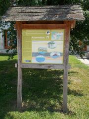 Birdsong Nature Trail, station 21 at Agárdi Spa and Thermal Bath