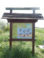 Birdsong Nature Trail station 5 in Dinnyés, Fejér County, Hungary