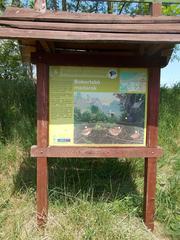 Birdsong Nature Trail station 6 in Dinnyés, Fejér County, Hungary with birds in bushes