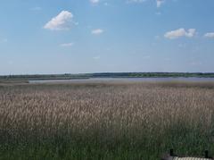 view from the observation tower on Birdsong Nature Trail in Dinnyés, Fejér County, Hungary