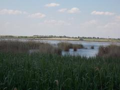 Dinnyési Fertő protected wetland area in Dinnyés quarter, Fejér County, Hungary