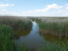 Bird observation tower at Dinnyési Fertő protected wetland area