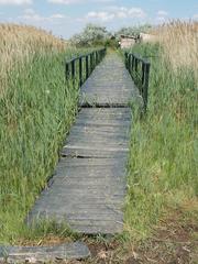 Footbridge on Birdsong Nature Trail, Dinnyés, 2017, Gárdony