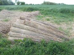 Haystacks in Dinnyés quarter, Fejér County, Hungary