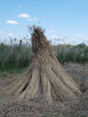 Haystacks in Dinnyés quarter, Fejér County, Hungary