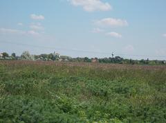 View of Saint George Church and water tower from Birdsong Nature Trail, Dinnyés