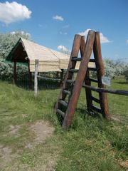 Birdsong Nature Trail station 4 shelter and ladder to observation tower