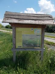 Birdsong Nature Trail, station 18 info boards about fishes of Lake Velence