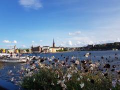 Riddarholmen island in Stockholm