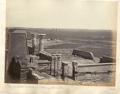 Plain of Thebes and distant Statues of Memnon by Francis Frith