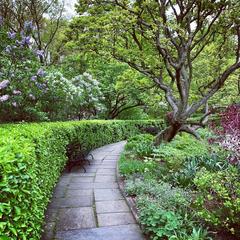 Conservatory Garden in Central Park with manicured flowerbeds and trees