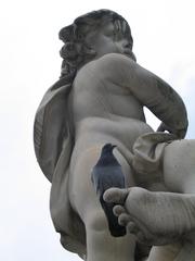 pigeon on statue in Freiburg Germany